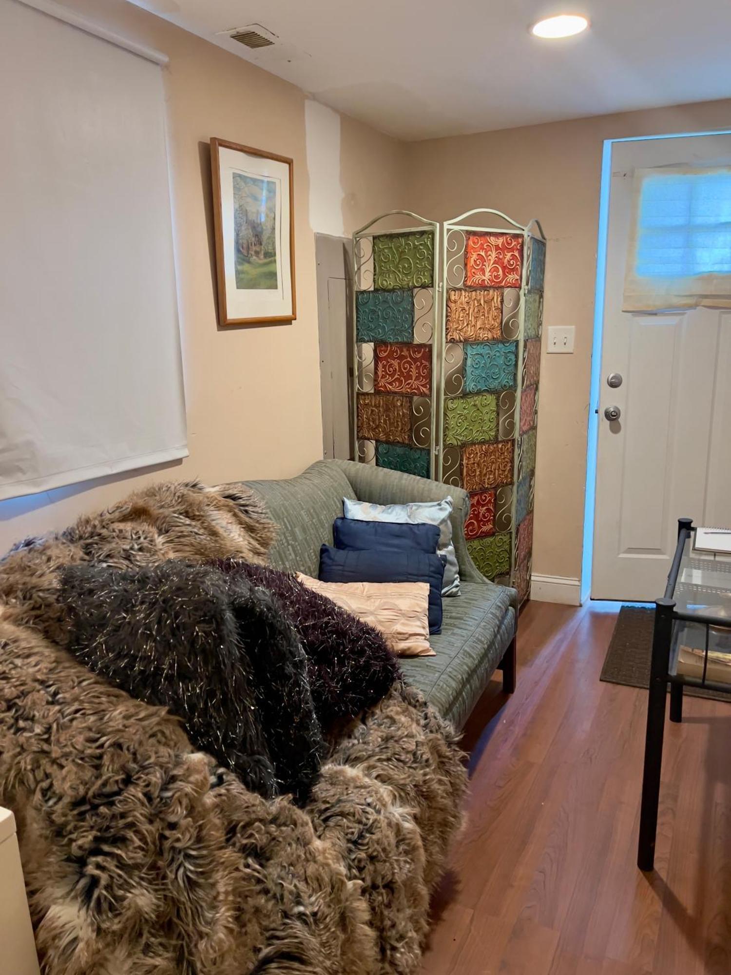 Charming 1-Bedroom Basement Close To Dc Pets Allowed Arlington Exterior foto